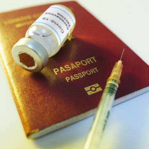 Démantèlement d'un marché de faux passeports vaccinal