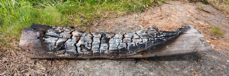 Du bois de la Cathédrale Notre-Dame de Paris en vente