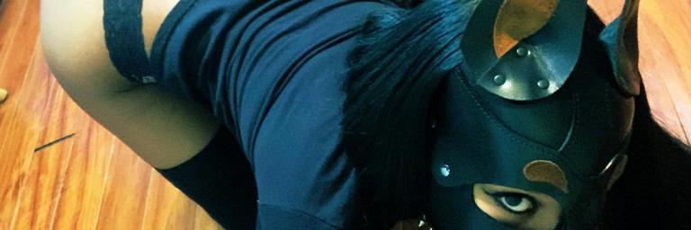 Les laboratoires vétérinaires commencent les tests coronavirus