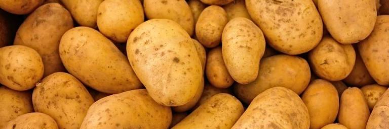 Par peur d'une pénurie il commande 30 tonnes de pommes de terre